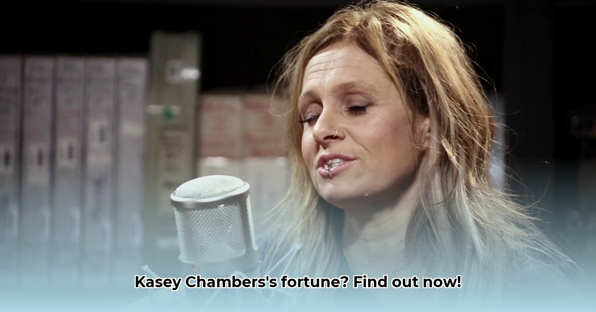 kasey-chambers-net-worth